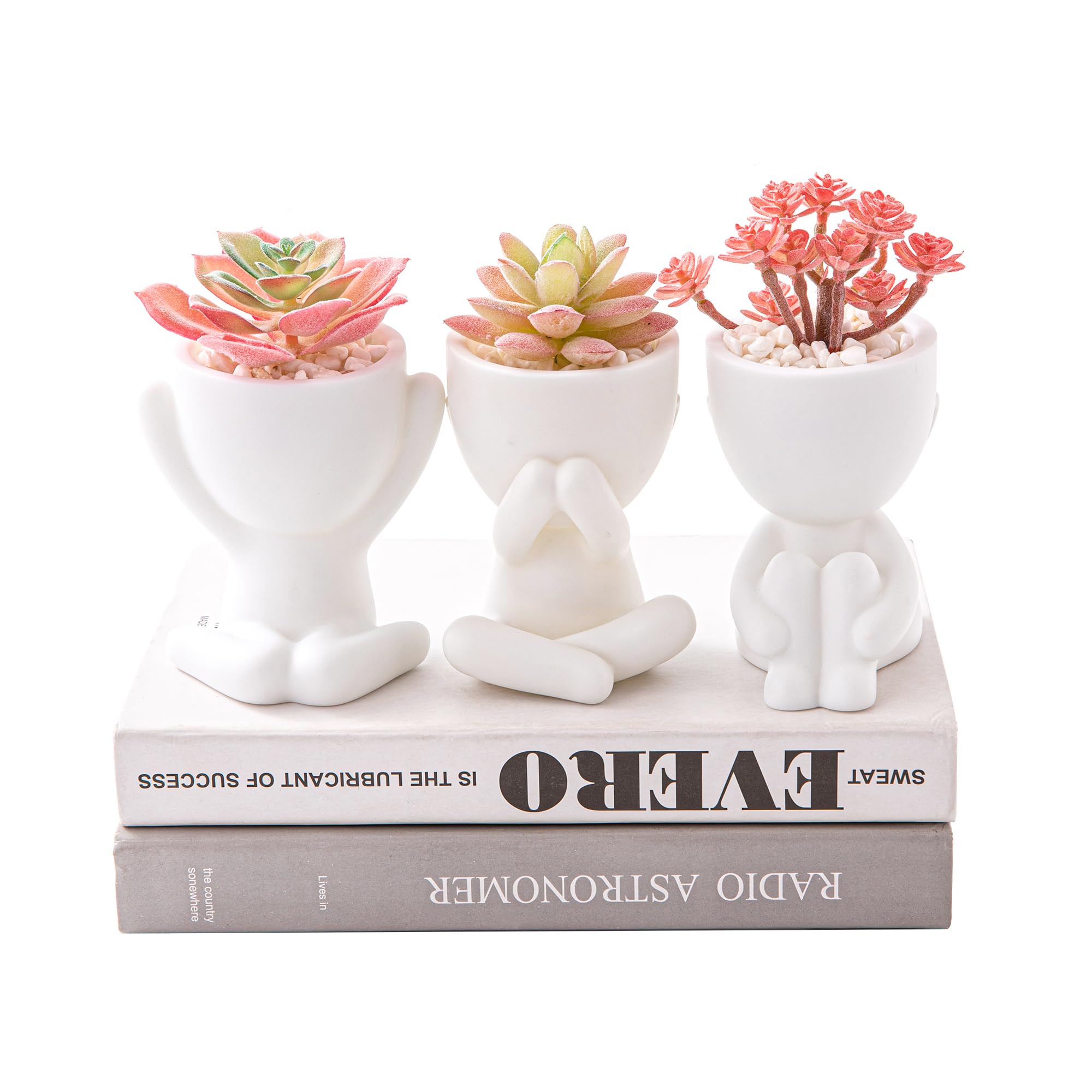 HEYO-YEPY 3PCS Cute Artificial Plant Office Decor for Women and Men, Aesthetic Desk Plant Decor for Office and Home, Potted Small Fake Plants for Indoor Decoration, White Pots Pink Plants