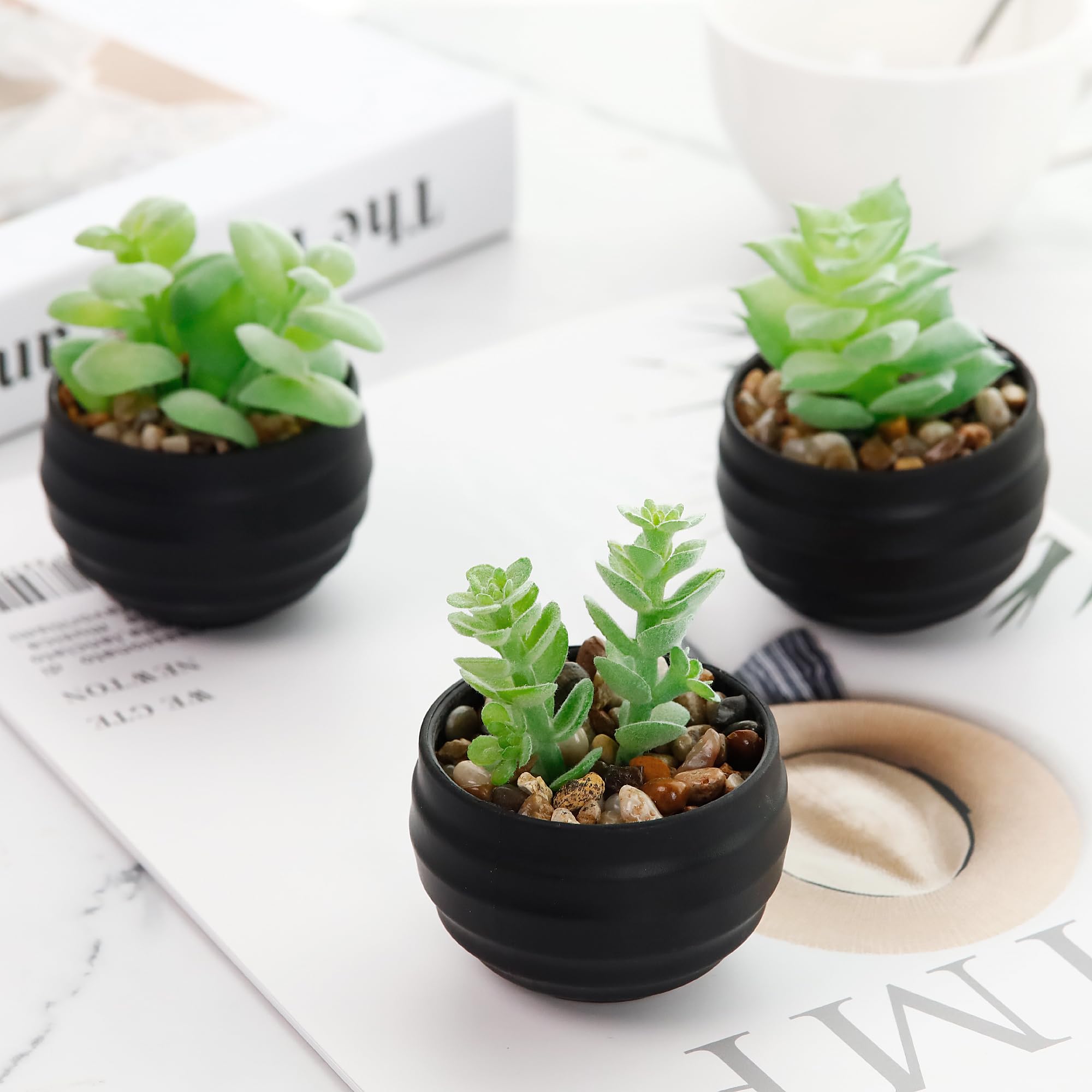 Der Rose Set of 6 Succulents Plants Artificial in Pots Small Fake Plants for Bedroom Aesthetic Living Room Shelf Bathroom Decor Office Desk Accessories