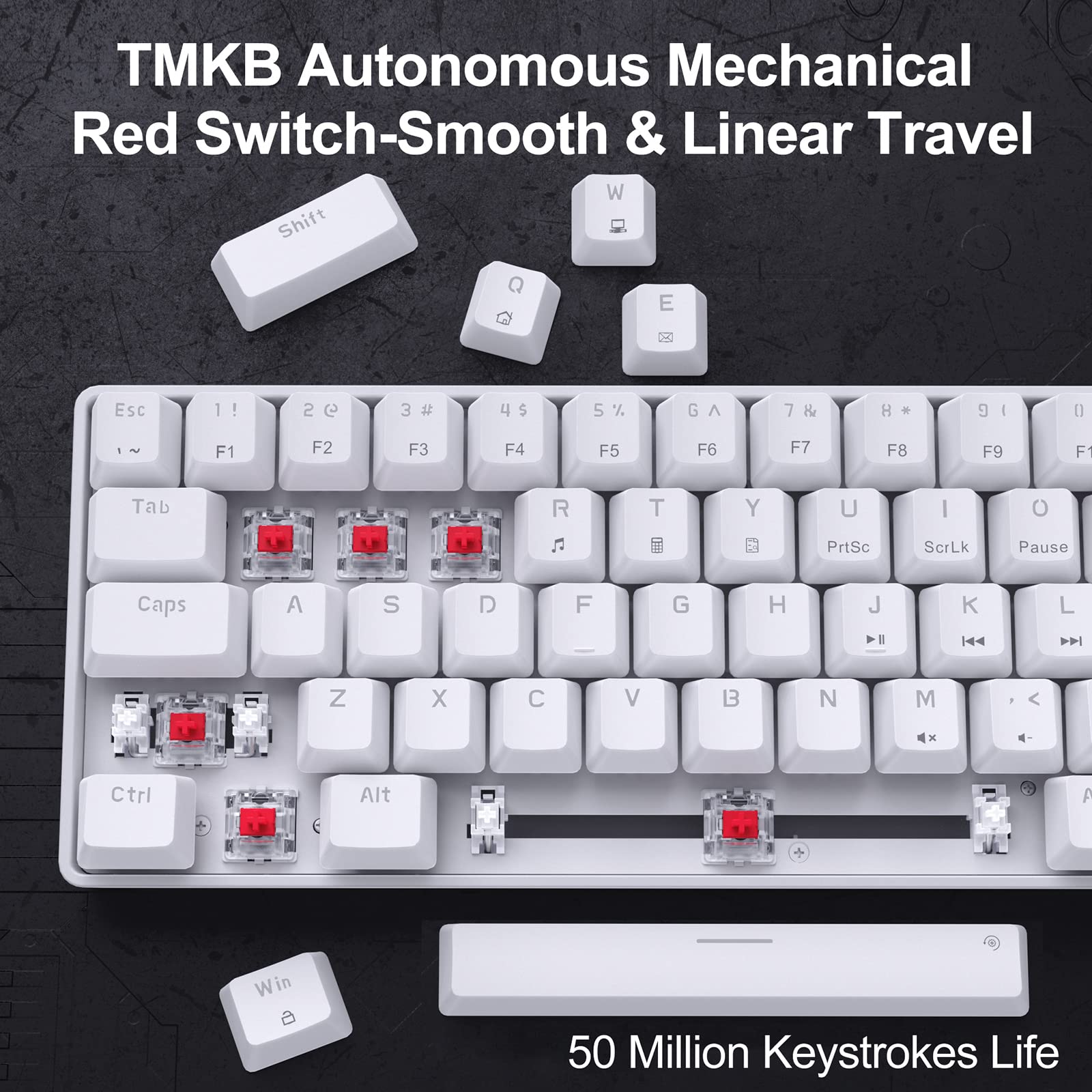 DIERYA T68SE 60% Gaming Mechanical Keyboard,Ultra Compact Mini 68 Key with Red Switches Wired Keyboard,Anti-Ghosting Keys, for Windows Laptops and PC Gamers,White