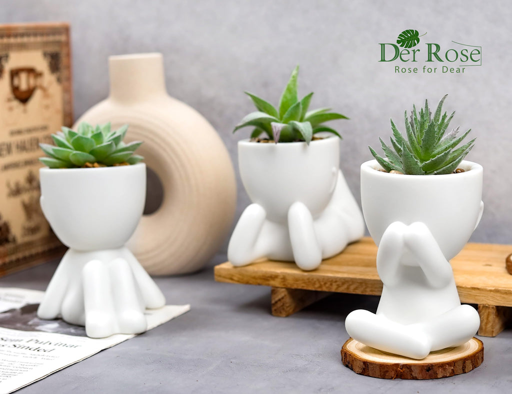 Der Rose 3pcs Fake Succulents Plants Artificial for Black Bathroom Bedroom Home Living Room Halloween Decor Aesthetic Indoor