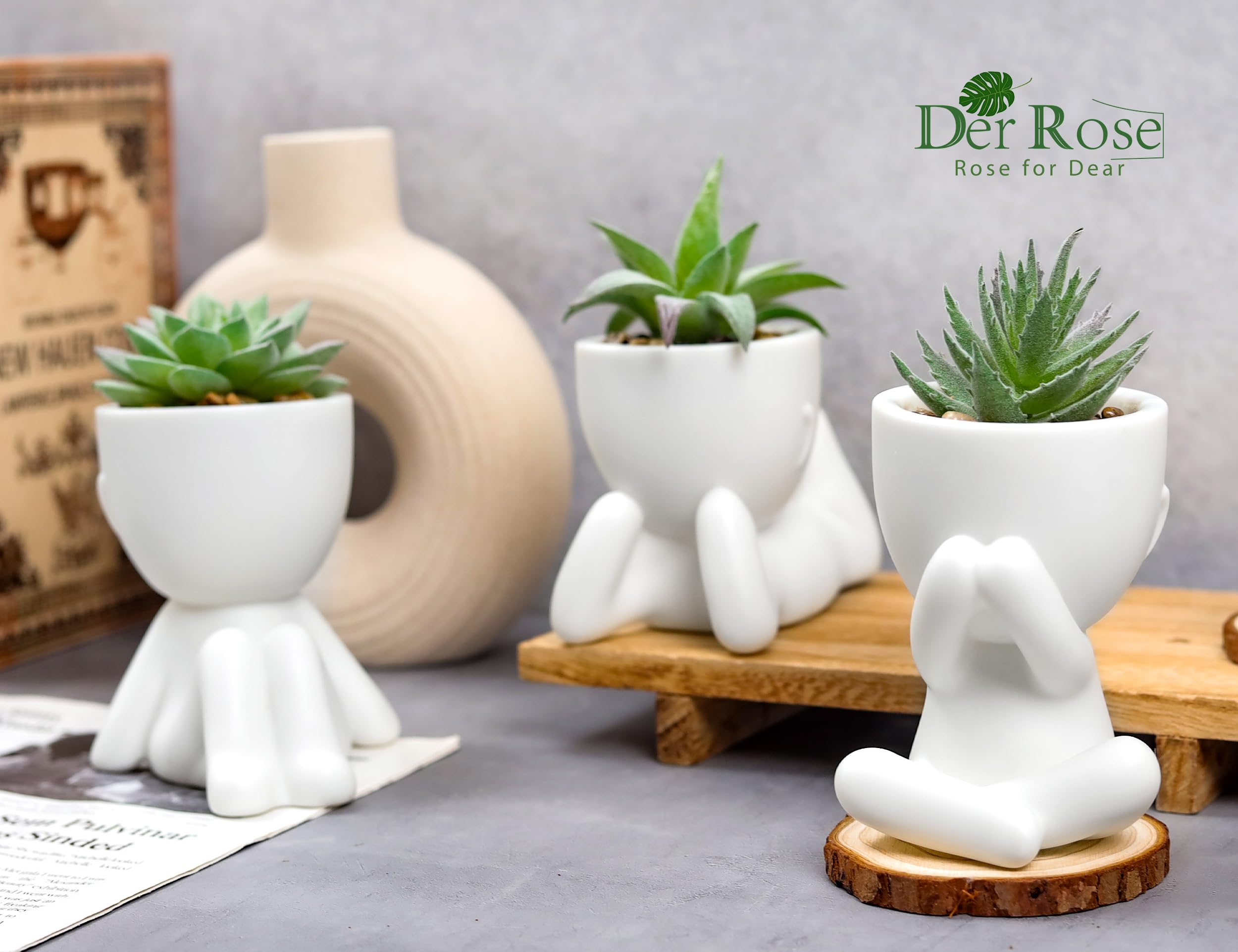 Der Rose 3pcs Fake Succulents Plants Artificial for Black Bathroom Bedroom Home Living Room Halloween Decor Aesthetic Indoor