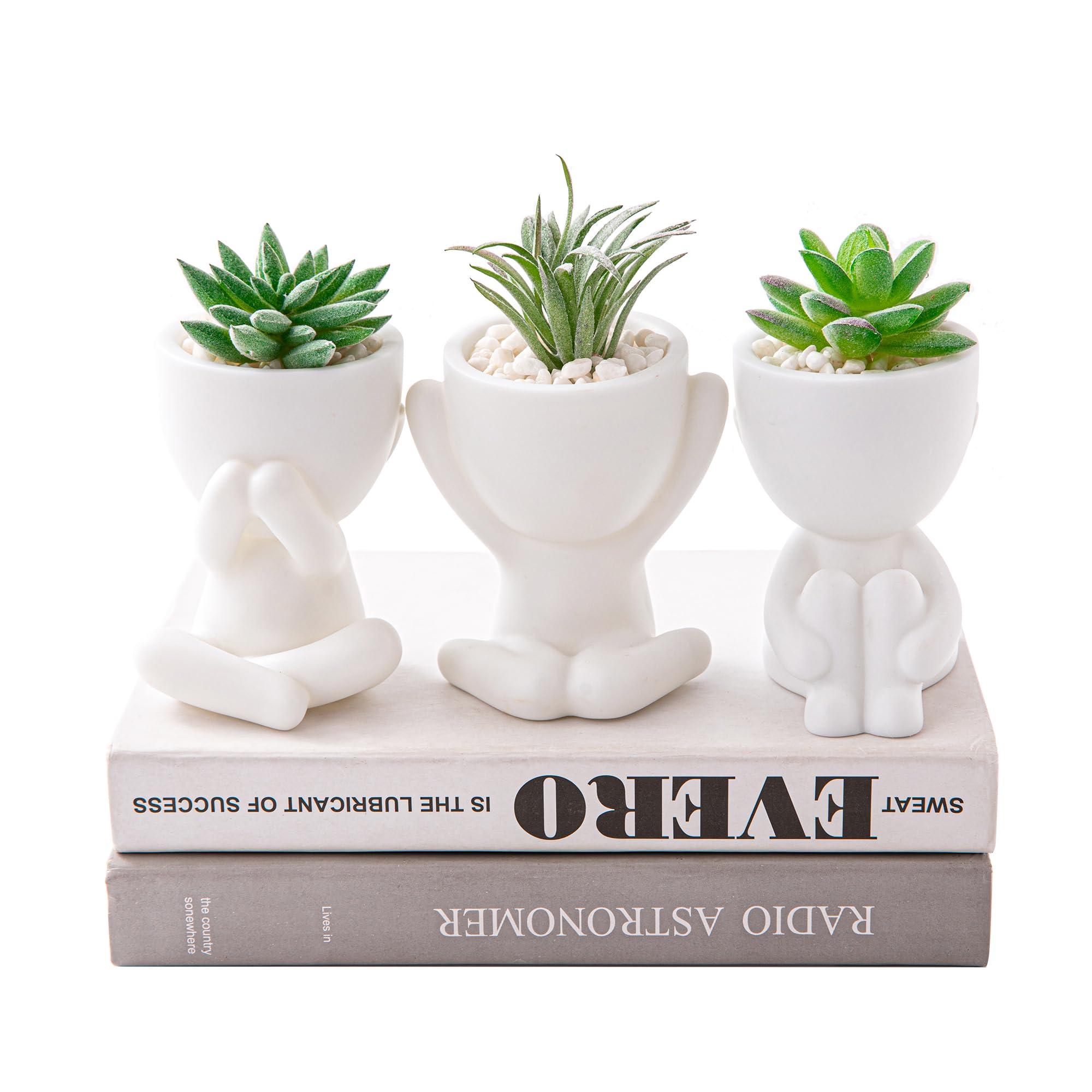 HEYO-YEPY 3PCS Cute Artificial Plant Office Decor for Women and Men, Aesthetic Desk Plant Decor for Office and Home, Potted Small Fake Plants for Indoor Decoration, White Pots Pink Plants