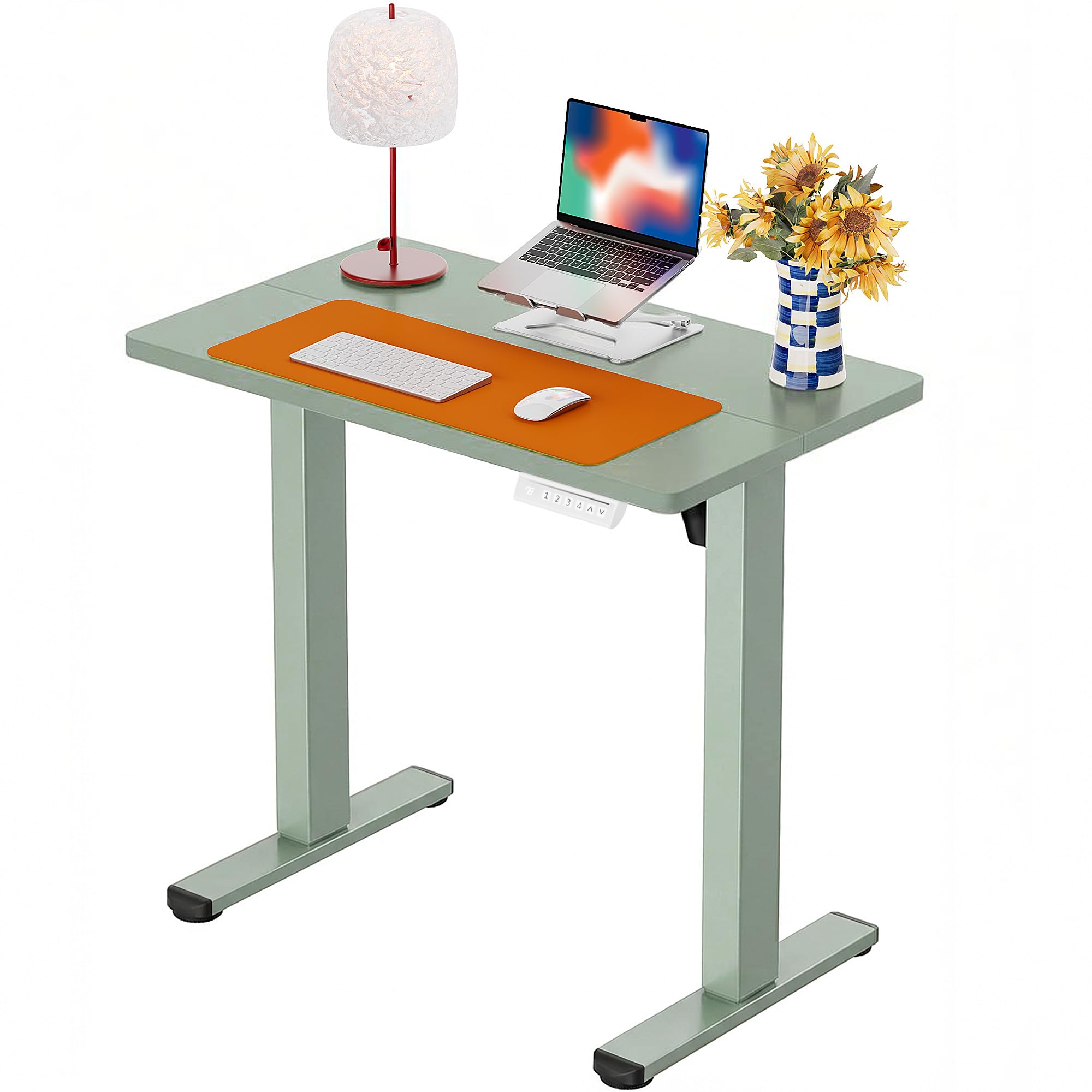 ErGear Height Adjustable Electric Standing Desk, 48 x 24 Inches Sit Stand up Desk, Memory Computer Home Office Desk, Black