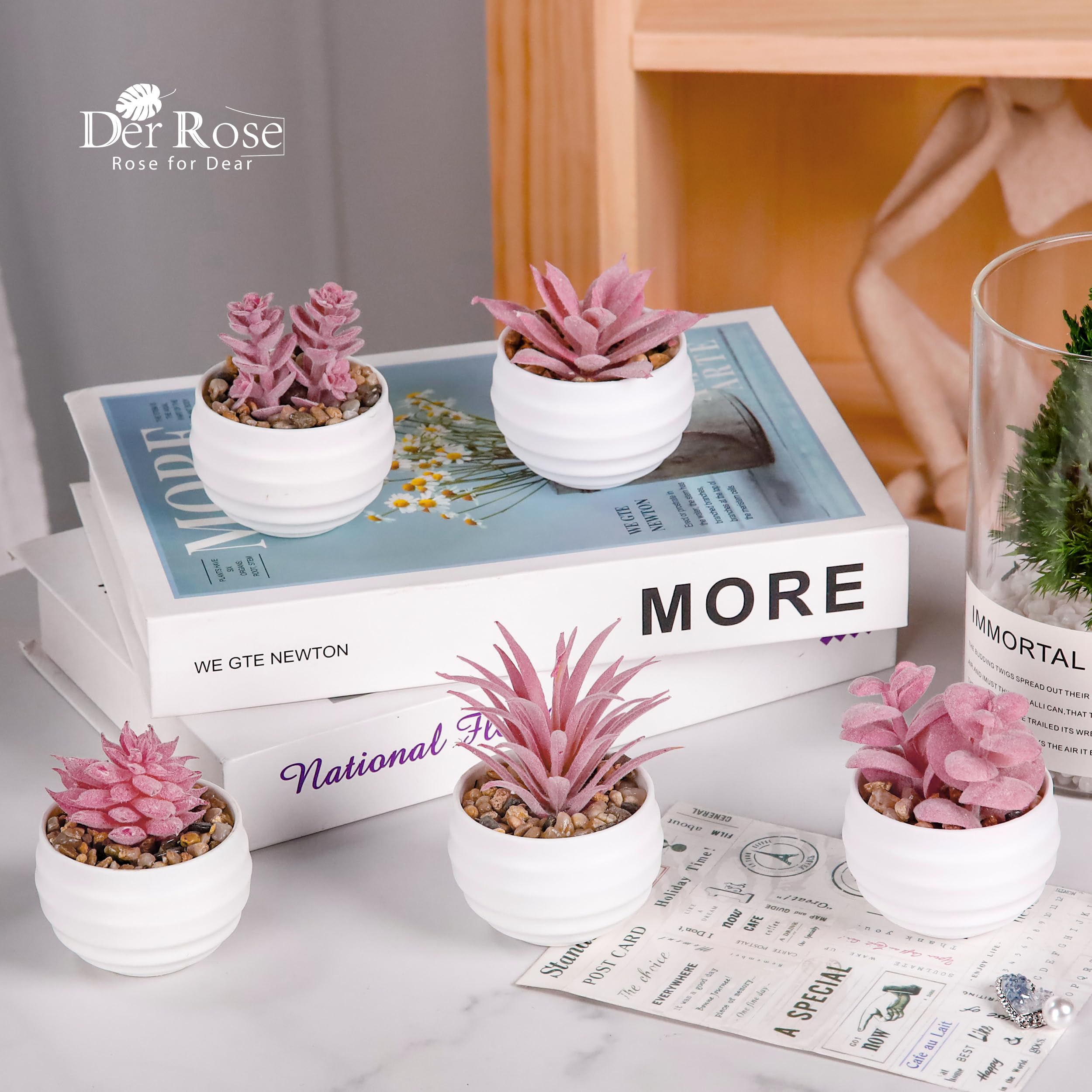 Der Rose Set of 6 Succulents Plants Artificial in Pots Small Fake Plants for Bedroom Aesthetic Living Room Shelf Bathroom Decor Office Desk Accessories