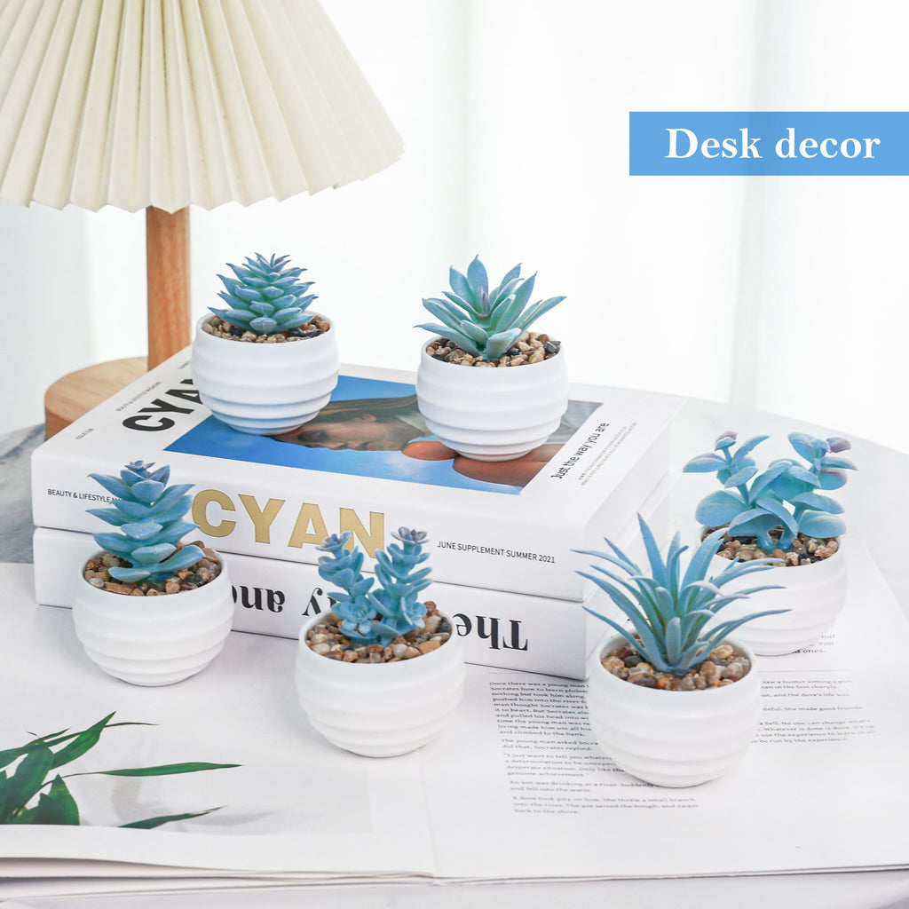 Der Rose Set of 6 Succulents Plants Artificial in Pots Small Fake Plants for Bedroom Aesthetic Living Room Shelf Bathroom Decor Office Desk Accessories