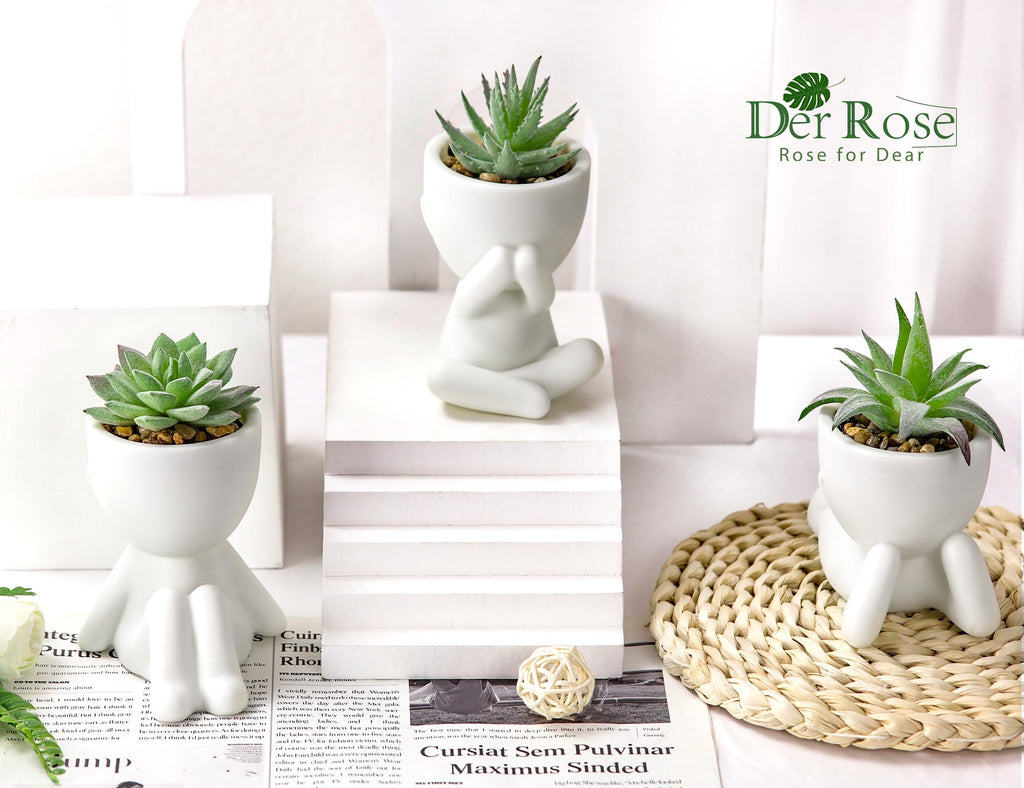 Der Rose 3pcs Fake Succulents Plants Artificial for Black Bathroom Bedroom Home Living Room Halloween Decor Aesthetic Indoor