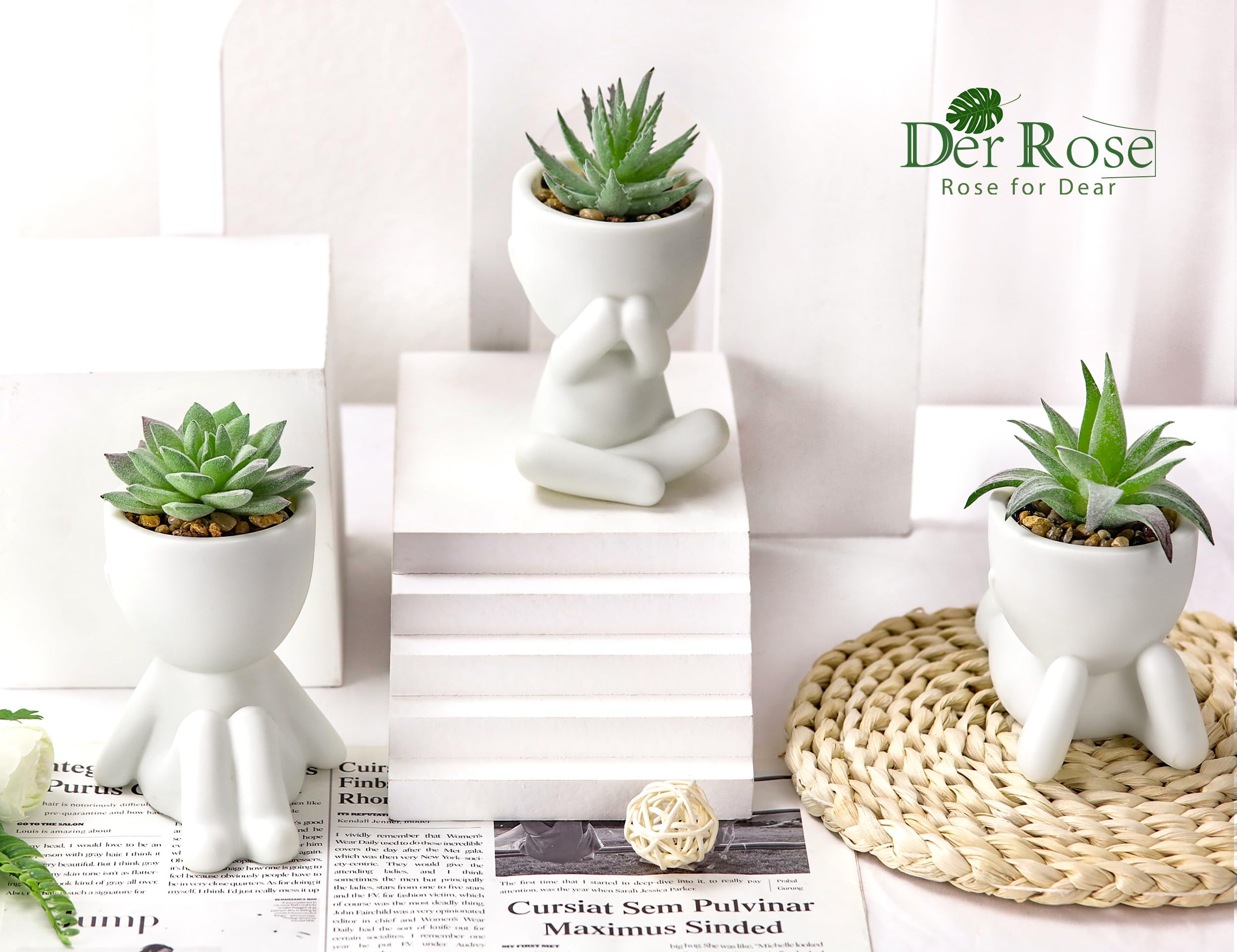 Der Rose 3pcs Fake Succulents Plants Artificial for Black Bathroom Bedroom Home Living Room Halloween Decor Aesthetic Indoor
