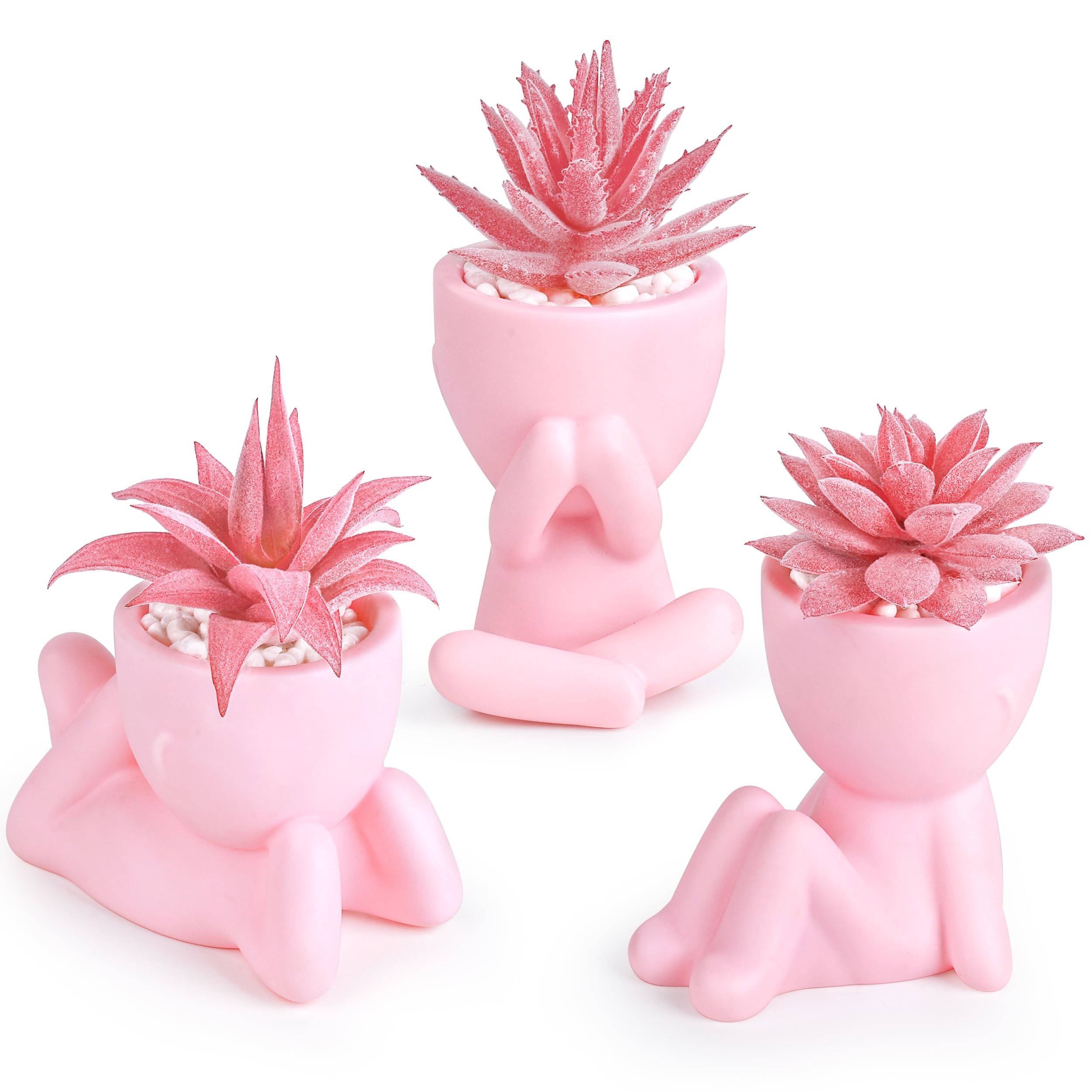 Der Rose 3pcs Fake Succulents Plants Artificial for Black Bathroom Bedroom Home Living Room Halloween Decor Aesthetic Indoor