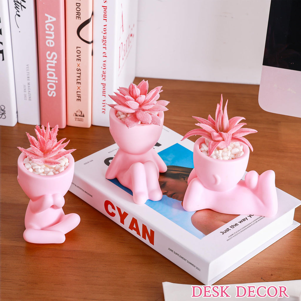 Der Rose 3pcs Fake Succulents Plants Artificial for Black Bathroom Bedroom Home Living Room Halloween Decor Aesthetic Indoor