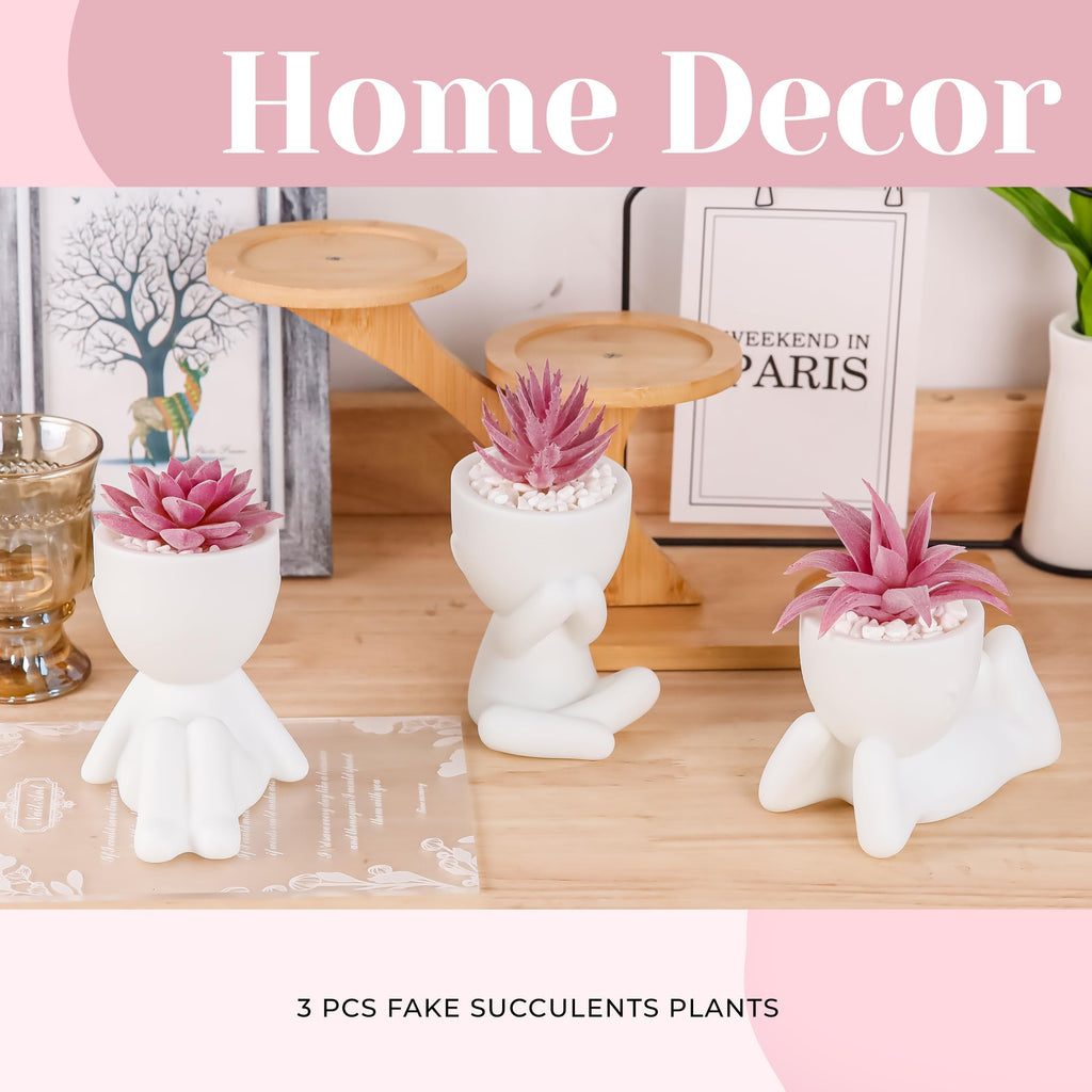Der Rose 3pcs Fake Succulents Plants Artificial for Black Bathroom Bedroom Home Living Room Halloween Decor Aesthetic Indoor