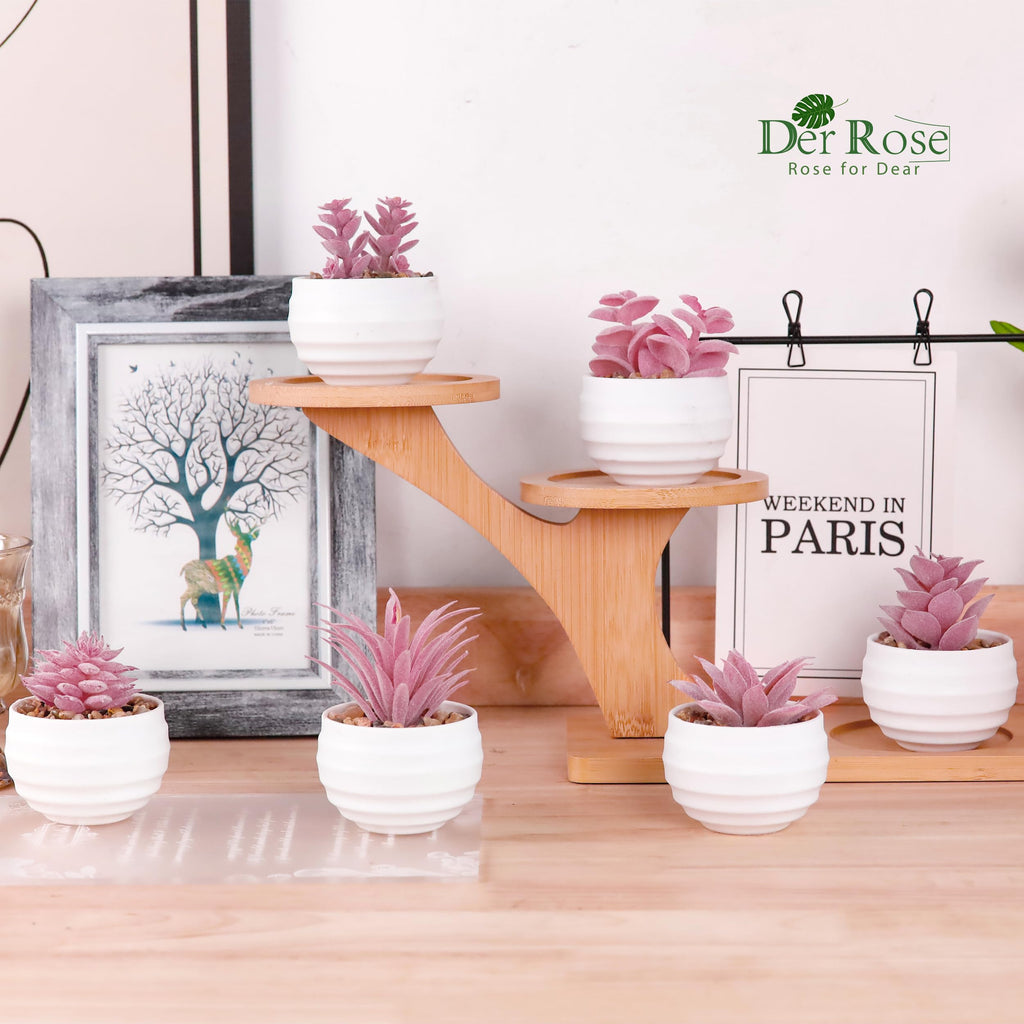 Der Rose Set of 6 Succulents Plants Artificial in Pots Small Fake Plants for Bedroom Aesthetic Living Room Shelf Bathroom Decor Office Desk Accessories