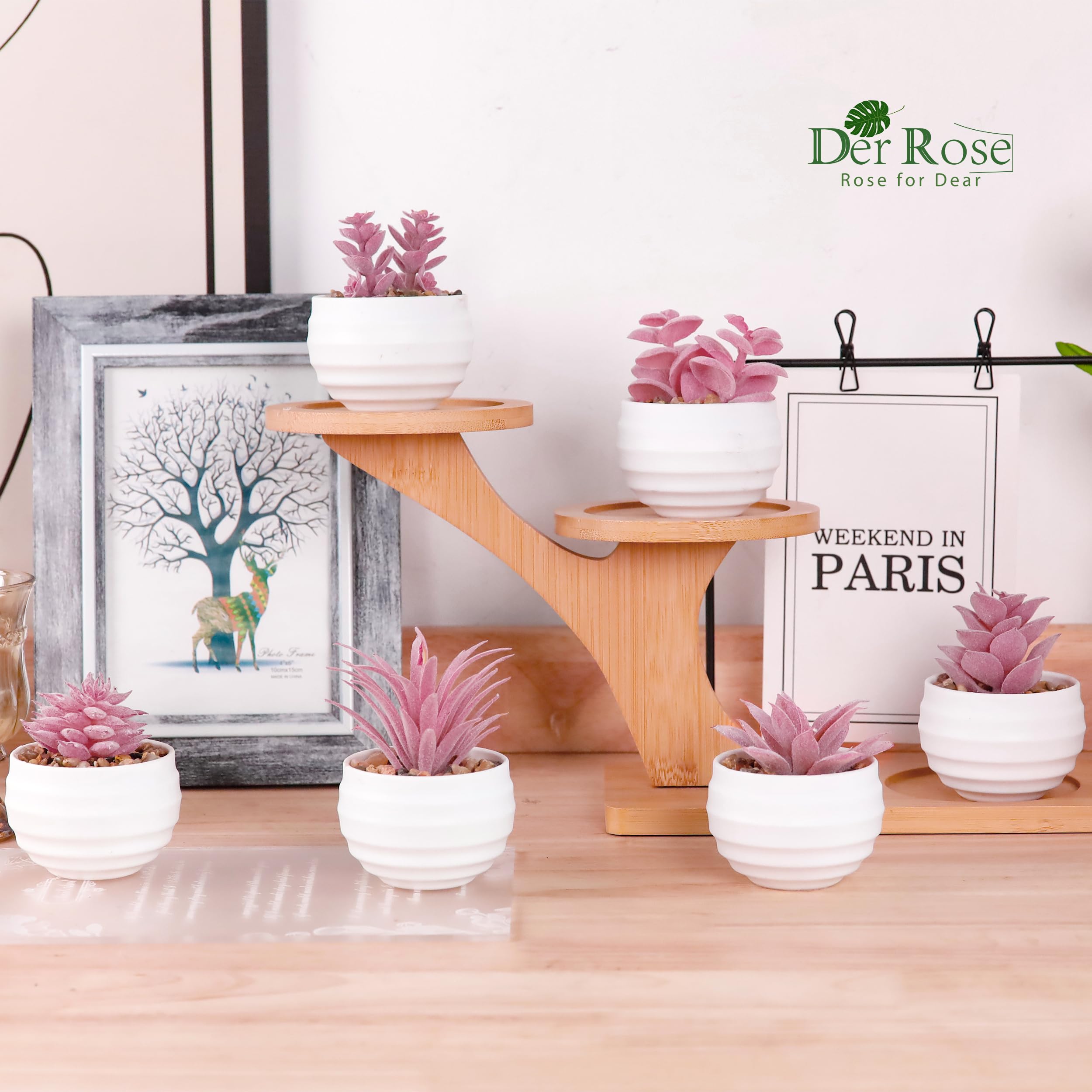 Der Rose Set of 6 Succulents Plants Artificial in Pots Small Fake Plants for Bedroom Aesthetic Living Room Shelf Bathroom Decor Office Desk Accessories