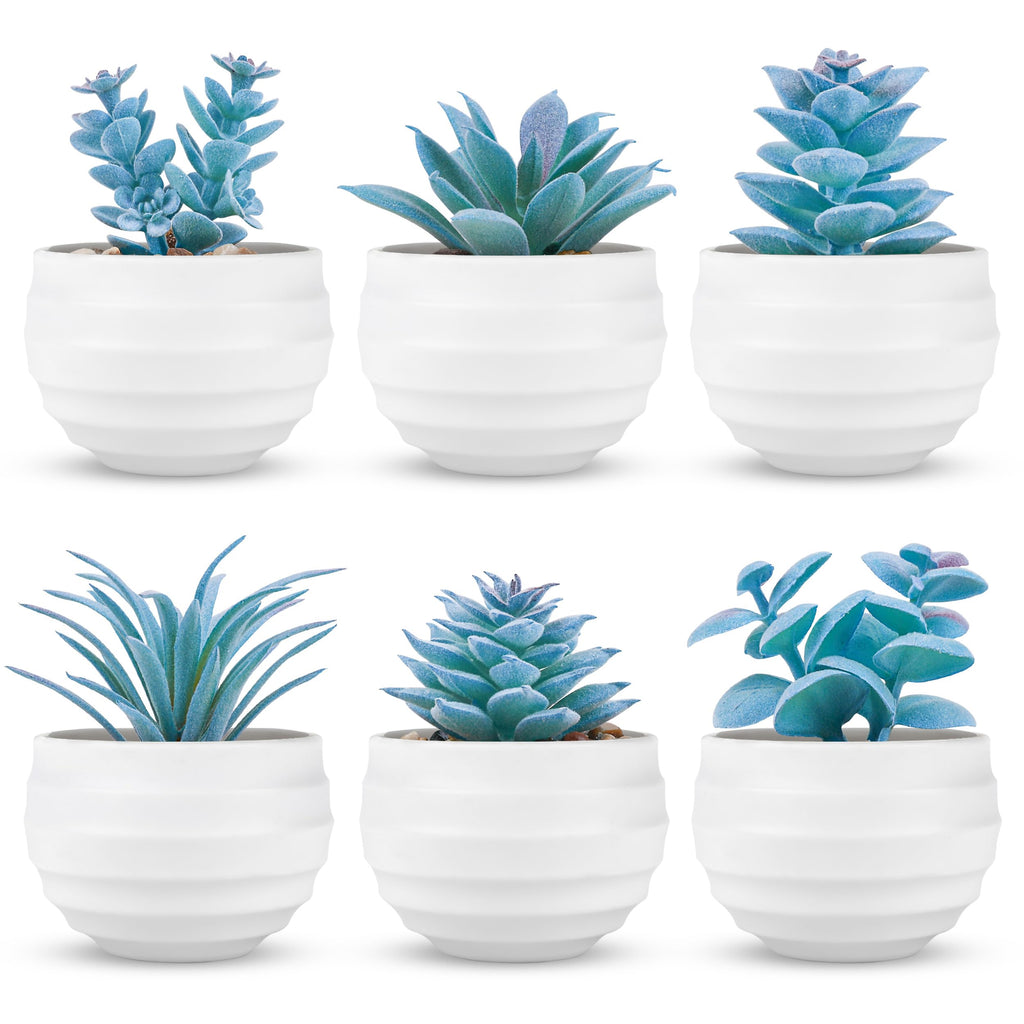 Der Rose Set of 6 Succulents Plants Artificial in Pots Small Fake Plants for Bedroom Aesthetic Living Room Shelf Bathroom Decor Office Desk Accessories