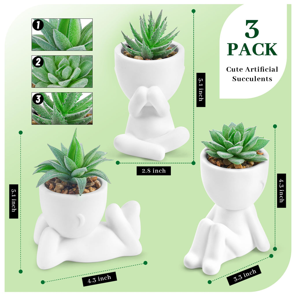 Der Rose 3pcs Fake Succulents Plants Artificial for Black Bathroom Bedroom Home Living Room Halloween Decor Aesthetic Indoor